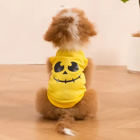 Playera de calabaza