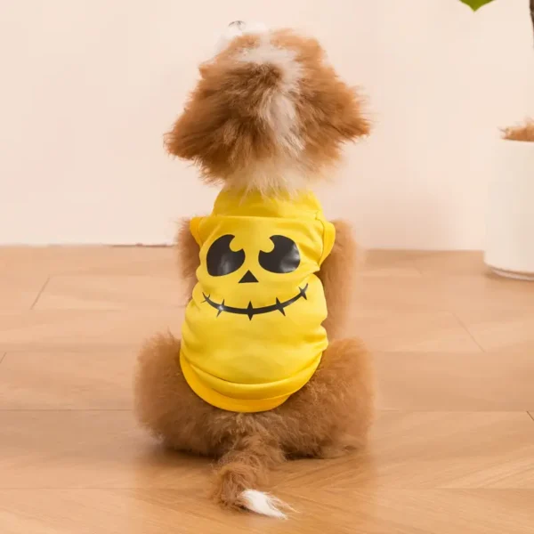 Playera de calabaza