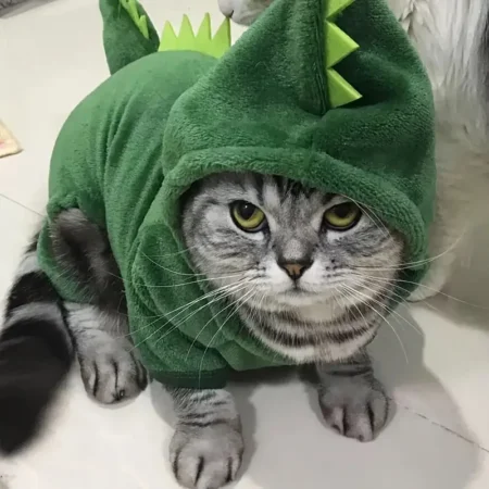 Sueter/sudadera para perro o gato, de dinosaurio talla s